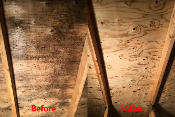 water damage restoration service Creve Coeur